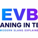 EVB Meaning in Text: Means and How People Use It Online