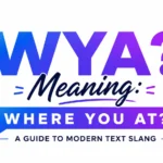 WYA Text Meaning:in Messages, Social Media and Everyday Chats