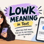 LOWK Meaning in Text: What Does LOWK Mean?