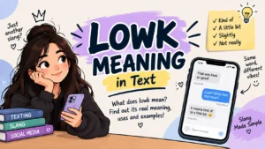 lowk-meaning-in-text