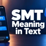 SMT Meaning in Text: What Does SMT Really Mean?
