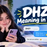 DHZ Meaning in Text: What Does DHZ Mean?