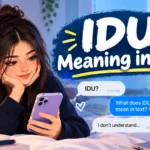 IDU Meaning in Text: What Does IDU Mean?
